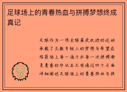 足球场上的青春热血与拼搏梦想终成真记